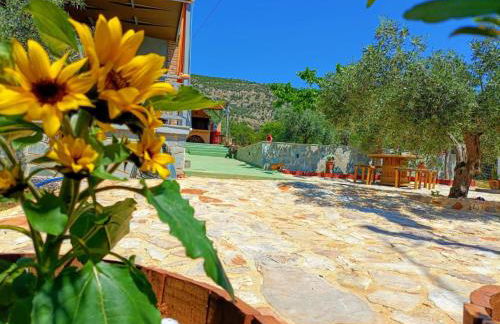 Elaia Rest House Retreat in nature - Foto 28