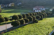 Zaprešić apartmani i sobe - Foto 39