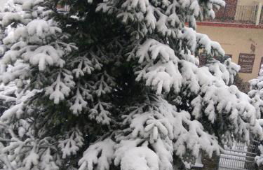 Guesthouse Papagiannopoulou - Foto 8