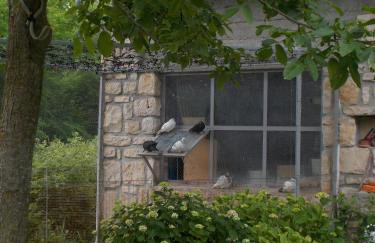 Apartments Sara - Foto 38