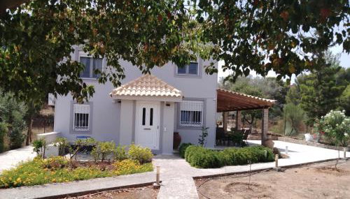 Studio Katafigi - Foto 2