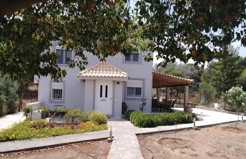 Studio Katafigi - Foto 2