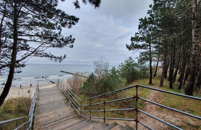 DWIE SOSNY-Apartament na wydmie - 365PAM - Photo 54