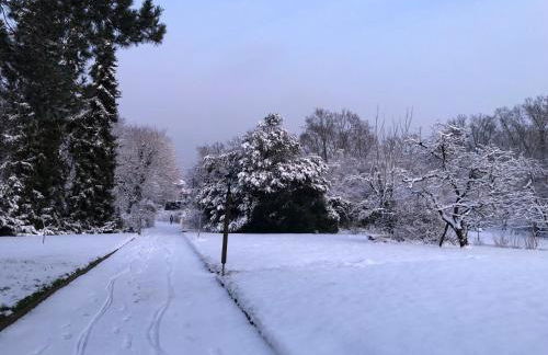 Über den Dächern von Koblenz - Aussichts-Wohnung Naturpark Rheinblick, ruhig, zentrumsnah, Sport-Pool - Foto 15