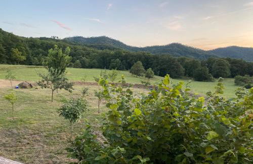 Borgo Tassani - Foto 66