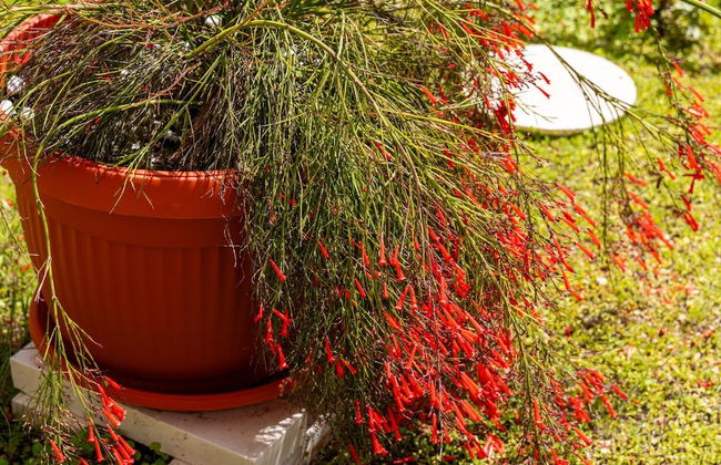 Apartment Bella Vista - Foto 30