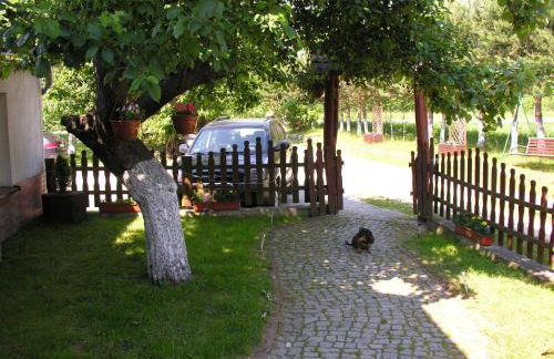 AGROTURYSTYKA POD ŚNIEŻNĄ - Foto 55