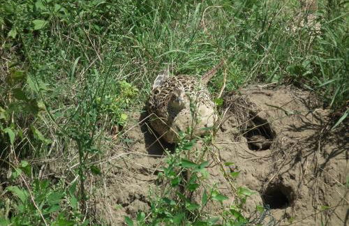 Ferienwohnung "Landblick" - Foto 21