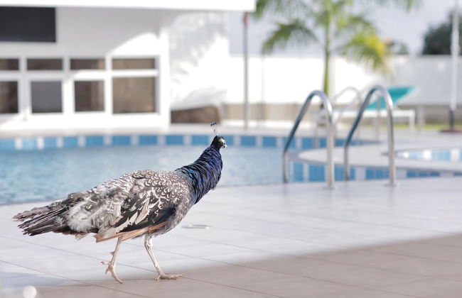 St Georges - Foto 21