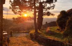 Casa del Contadino Rapale - Foto 61