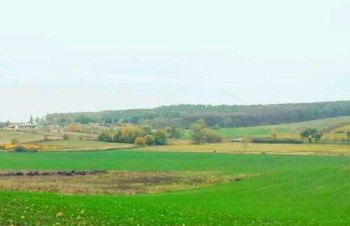 Agroturystyka Zaborski Sad - Foto 39