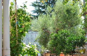 The Otherside House Pelion - Foto 19