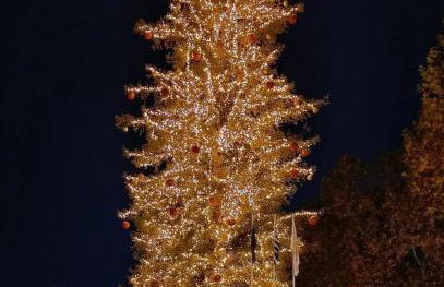 Olina's Luxury Apartment - Foto 19