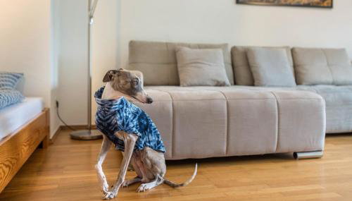 Haus Gartenblick - Photo 2