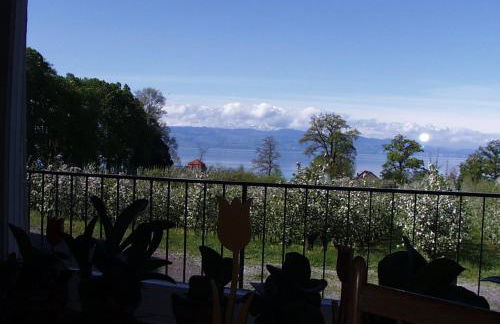 Baumanns Ferienhof Am See - Foto 19