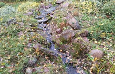 Domek blisko granicy u Darka - Photo 24