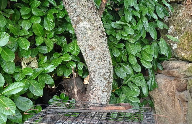 Outros Tempos Turismo De Aldeia - Foto 37