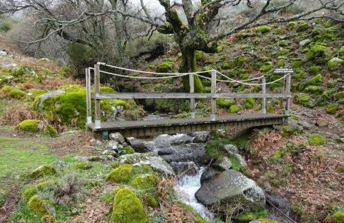 Aires Del Ambroz - Foto 21