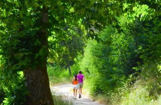 Alojamentos Turísticos São Torcato Moradal Turismo Espaço Rural - Foto 10