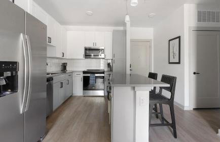 Historic Springfield Apartments by Landing - Photo 30