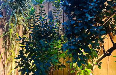 Cocon entre presqu'île du Cap Ferret et plages océanes - terrasse - 1 vélo gratuit - Foto 73