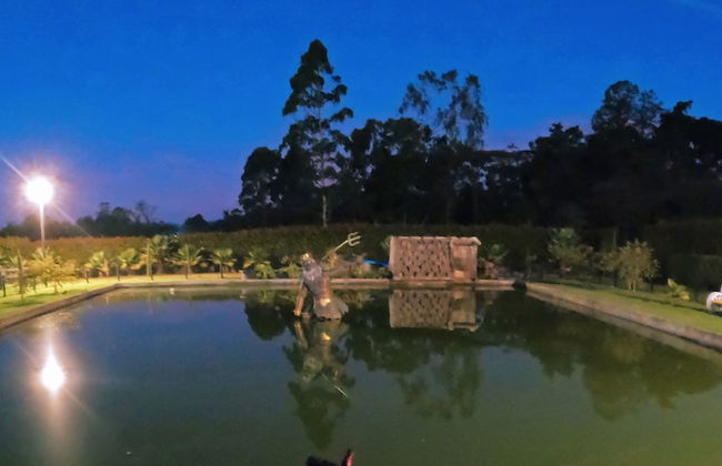 Llano Grande - Photo 38