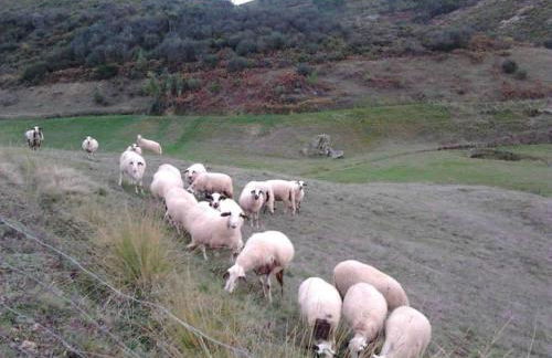 Casas na montanha vistas fantásticas com piscina - Foto 15