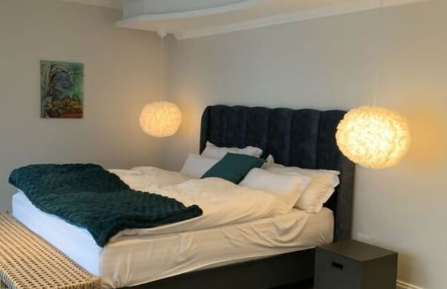 Sunshine Modern Retreat - Photo 2