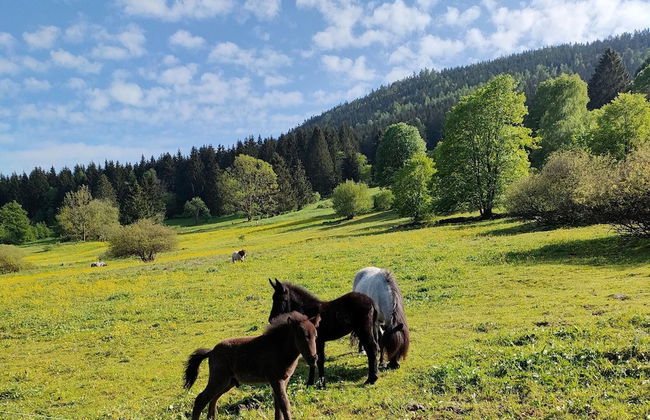 Ferienhaus Am Hermannsberg, Oberschoenau - Foto 41