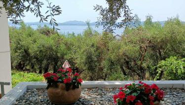 Lemon Tree House - Foto 5