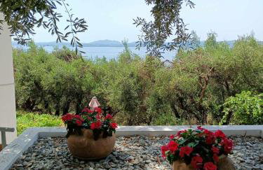 Lemon Tree House - Foto 5