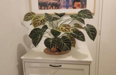 8 Pers - Balcon & Jardin - 5min CDG - Shuttle CDG Airport - Paris Villepinte - Foto 6