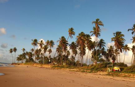 Paraíso dos Corais - Foto 21