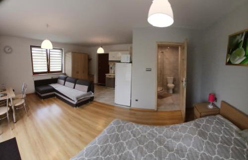 Agroturystyka u Krzysztofa ZATOR ,ENERGYLANDIA , NOCLEGI - Foto 8