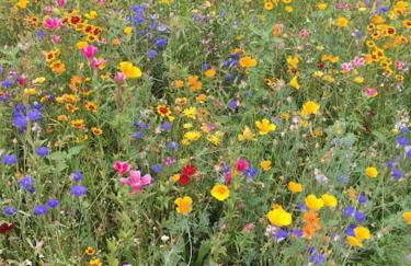 Casa dos três rapazes - Foto 64