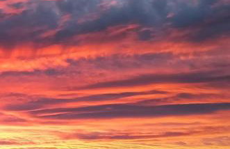 LAVENDER COTTAGE - Foto 23