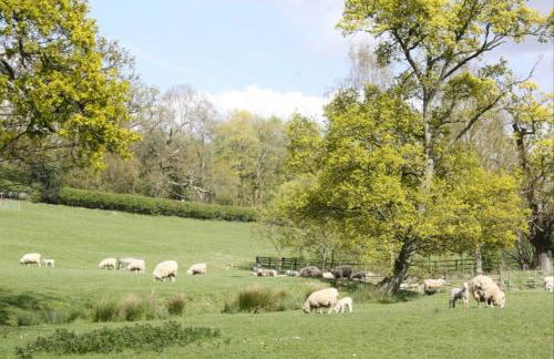 1 & 2 bedroom Weaver's Cottages at Frame Farm - Foto 13