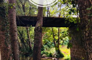 El Rincón de Castilla - Foto 10