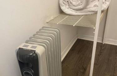 Little Carnation - Foto 8