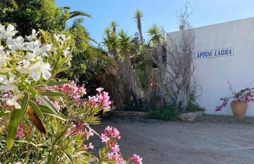 Apartamentos Laura Playa de Migjorn - Foto 30