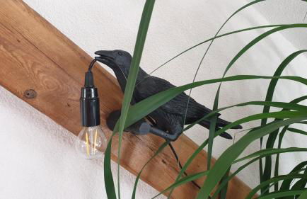 SeenSucht & Urlaubsträume, Ferienwohnung "Seeadler" - Photo 11