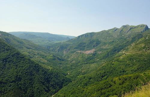 Bougainvillea casa vacanza - Foto 42