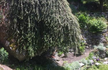 Le Rocher - Photo 27