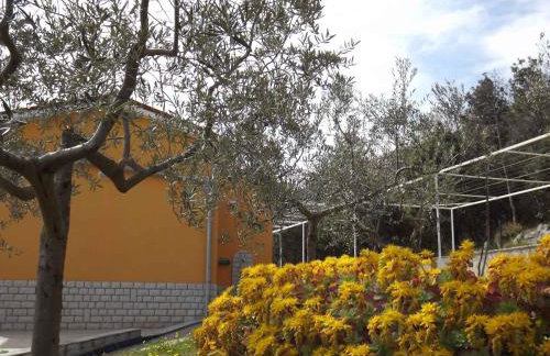 Apartments in Ravni - Istrien 30383 - Foto 5