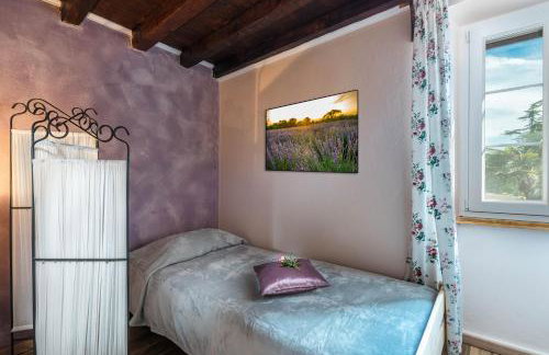 Rustic Istrian house Varesco - Foto 28