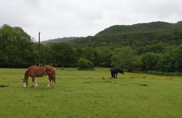 Charming Barn Conversion - Idyllic Rural Retreat- Pet Friendly - Foto 33