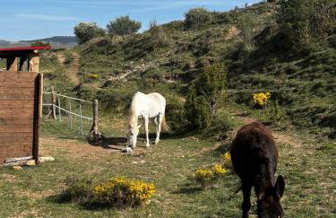 Masía Casa Rullo - Foto 8