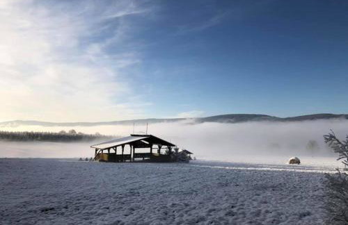 Birkut Szkoła Przetrwania 1 - Foto 20