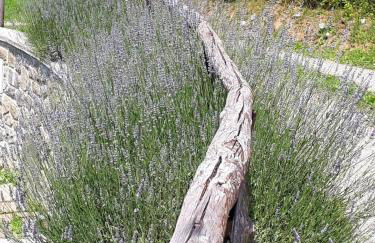 Il Telaio - Pian di Nenne - Foto 25