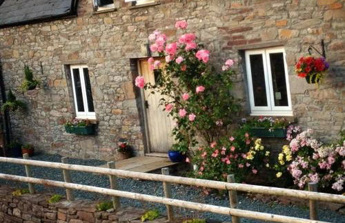 Llwyn Llwyd Cottage - Photo 1